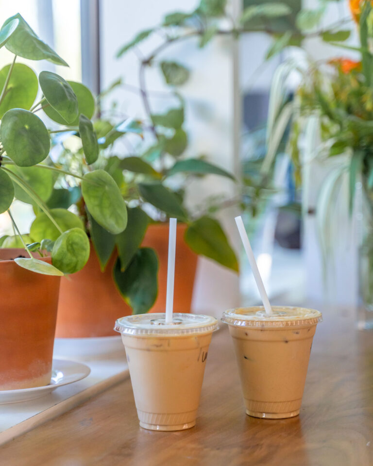 Two coffee drinks displayed by a window with plants at Union Coffee