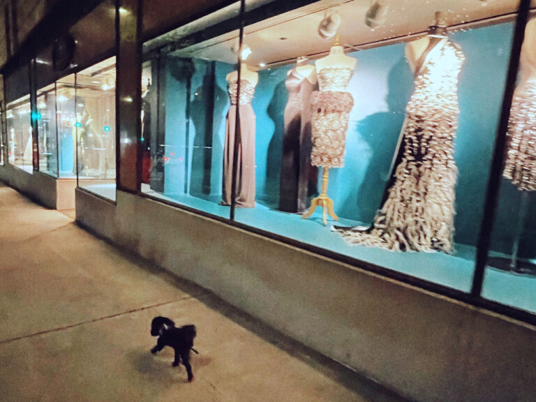 A small dog walks past a store window showcasing elegant evening gowns in various styles and colors, displayed on mannequins against a blue backdrop. The street is dimly lit, creating a warm, nighttime urban ambiance.