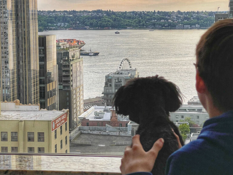 A person and a black dog look out from a balcony over a city skyline. In the distance, there is a large body of water with boats and a Ferris wheel. Skyscrapers and various buildings surround the scene.