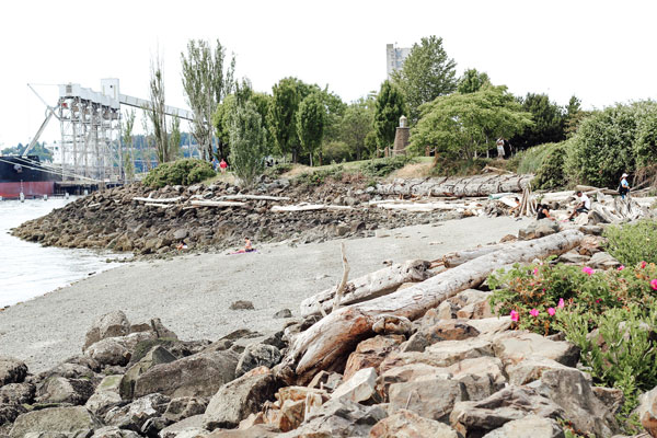 A rocky shoreline with driftwood scattered along the beach. The area is surrounded by green trees and shrubs, with an industrial structure and a ship in the background. The sky is overcast.