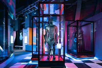 A superhero costume is displayed in a glass case at an exhibit. The suit is black with a mask resembling a panther. The background features colorful lights and more display cases in a modern museum setting.