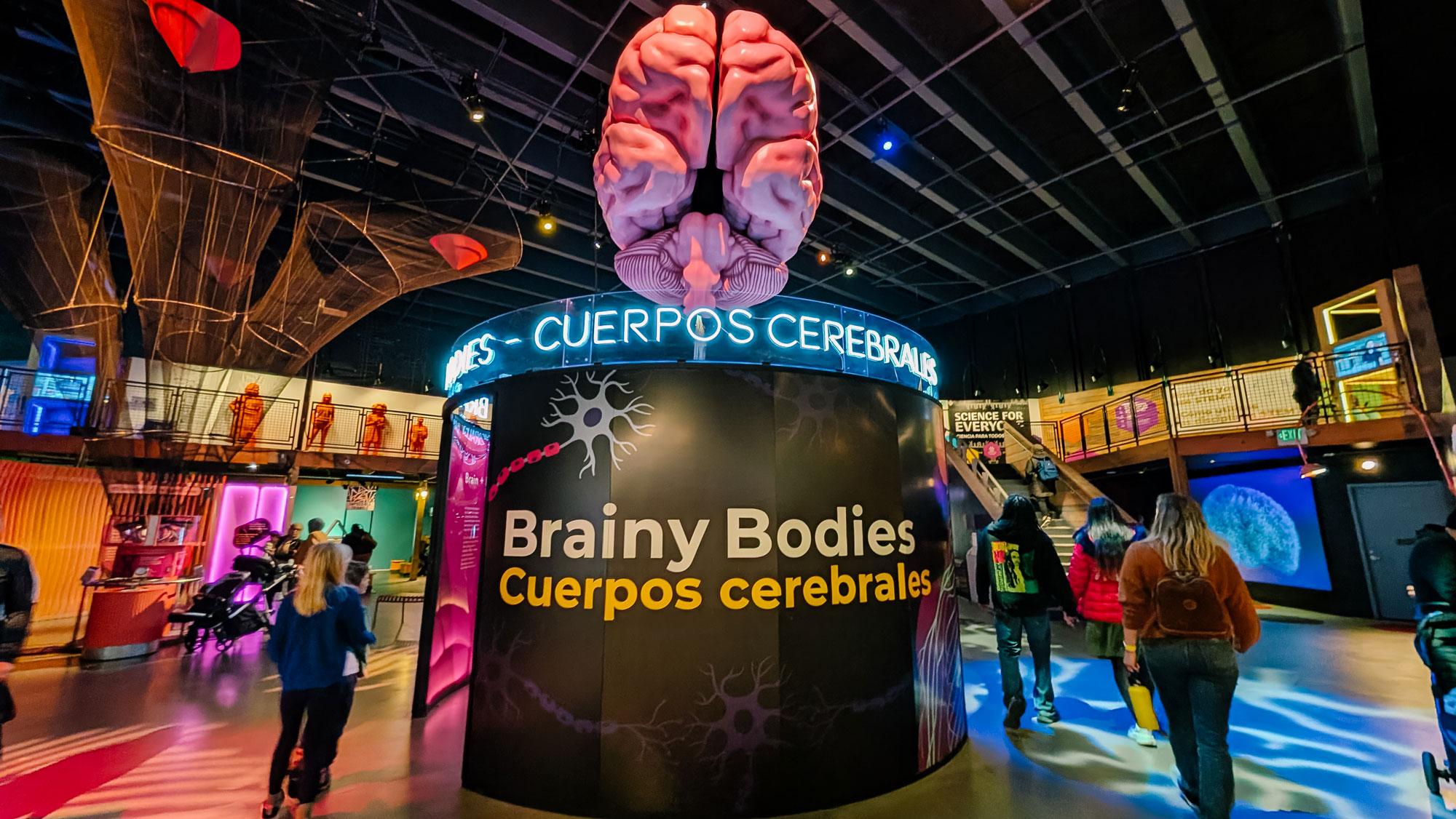 Exhibit hall with a large model of a brain suspended above a circular display labeled "Brainy Bodies, Cuerpos cerebrales." Visitors walk around the brightly lit space, featuring various colorful exhibits and information panels.