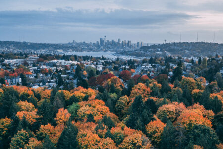 Orange, yellow, and green trees dot the landscape with the Seattle skyline in the background on a grey day.