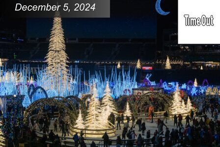 A festive winter scene with a large outdoor ice rink surrounded by illuminated trees. People are ice skating under colorful lights. Enchant.
