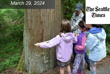 Children measure a tree