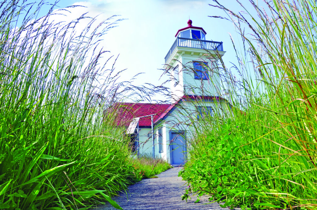 A white lighthouse with a red roof stands surrounded by tall, green grass and plants. A concrete path leads to the entrance under a blue sky.