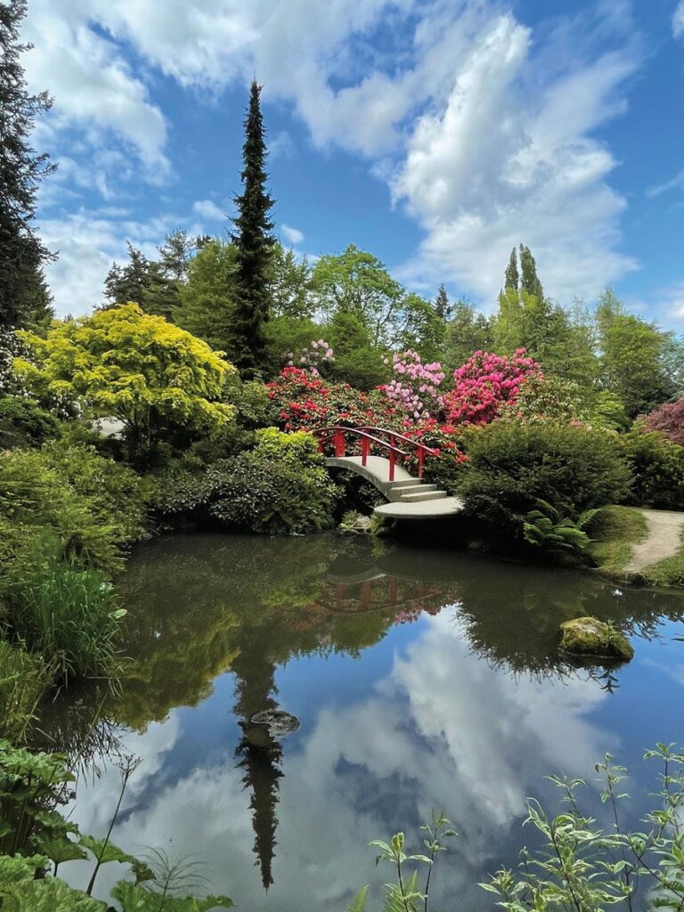 A serene garden scene in the Columbia City Neighborhood, Seattle, features a red arched bridge over a pond, surrounded by lush greenery and vibrant flowers under a partly cloudy blue sky. The water reflects the sky and foliage, creating a peaceful atmosphere.