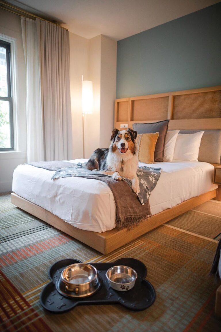 A dog lounges on a neatly made bed in a hotel room. The room features a large window with curtains, a floor lamp, and a plaid carpet. Two pet bowls are on a mat on the floor.