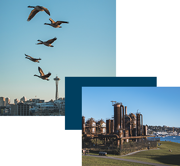 A flock of birds flying over a cityscape featuring a distinctive tower and skyline, alongside an industrial scene with large metal structures on a grassy area, set against a clear blue sky.