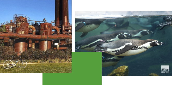 On the left, an old rusty industrial site with tanks and chimneys, with a bicycle parked on grass. On the right, several penguins swimming underwater, with a logo in the bottom corner.
