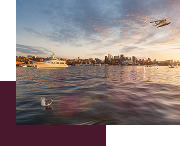 A serene evening scene over a large body of water, featuring a white yacht and a seaplane flying overhead. A single bird floats in the foreground. The horizon shows a city skyline under a sky with scattered clouds.