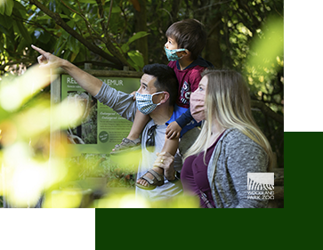 A family, all wearing masks, is enjoying a visit to a park. The father is pointing at something in the distance, holding a child on his shoulders, while the mother stands beside him. Lush greenery surrounds them.
