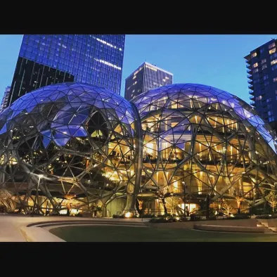The View of the Amazon Spheres