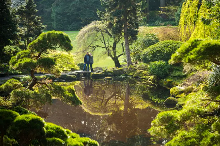 Bloedel Reserve