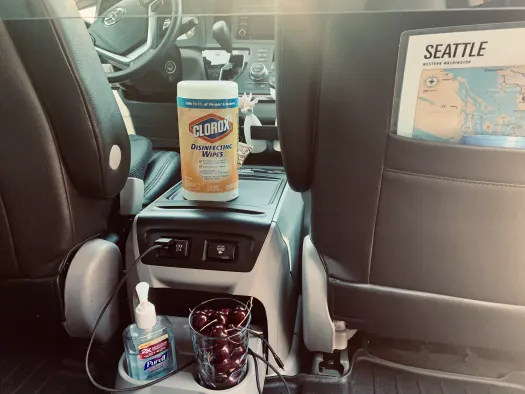 Germ-free tours