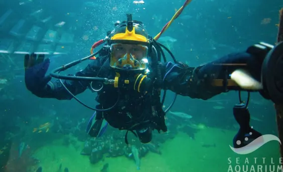 Diver in Underwater Dome