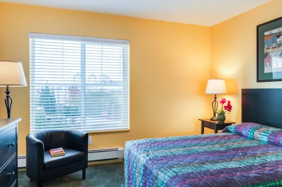 One Bed Furnished Studio
