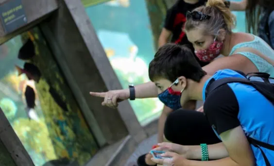 Visitors in Underwater Dome